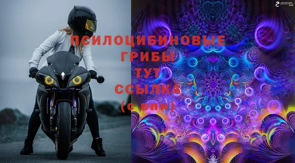 ALPHA PVP Алзамай