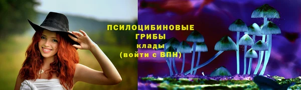 spice Алексин