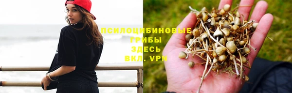 ALPHA PVP Алзамай