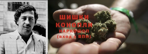 ГАЛЛЮЦИНОГЕННЫЕ ГРИБЫ Алексеевка