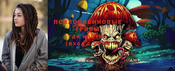 ГАЛЛЮЦИНОГЕННЫЕ ГРИБЫ Алексеевка