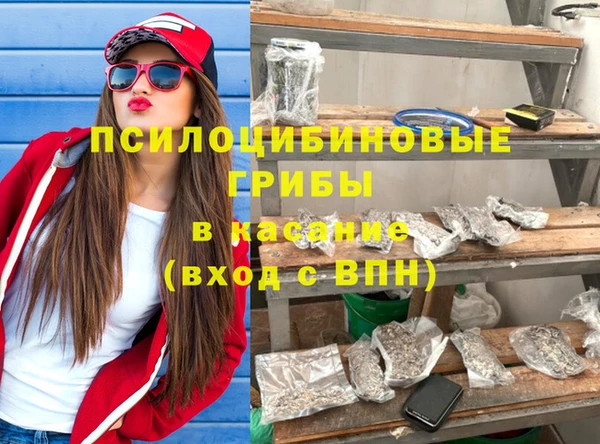 ГАЛЛЮЦИНОГЕННЫЕ ГРИБЫ Алексеевка