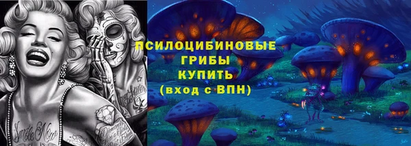 spice Алексин