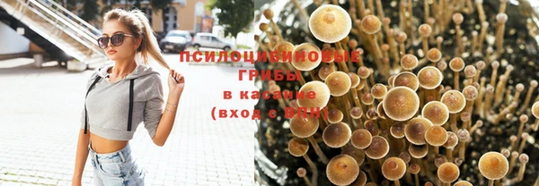 ГАЛЛЮЦИНОГЕННЫЕ ГРИБЫ Алексеевка